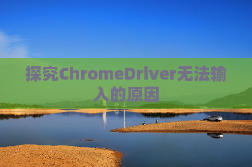 探究ChromeDriver无法输入的原因